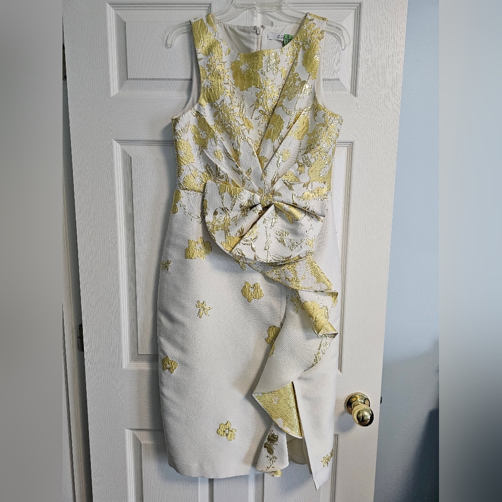 Badgley Mischka Dress